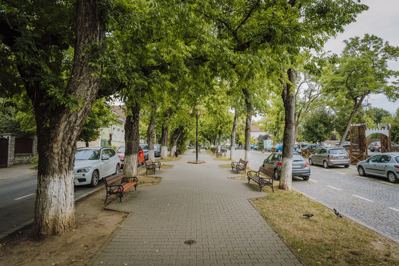 Fákkal szegélyezett sétány padokkal, mindkét oldalán parkoló autókkal és utcával, a háttérben egy díszes fa kapuépítmény látható.