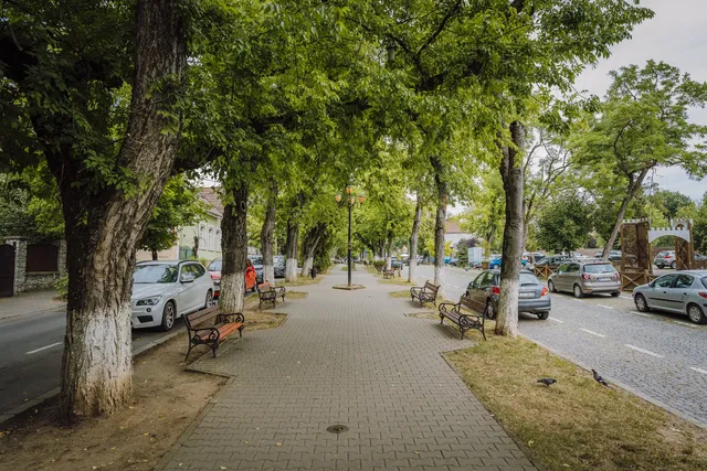 Fákkal szegélyezett sétány padokkal, mindkét oldalán parkoló autókkal és utcával, a háttérben egy díszes fa kapuépítmény látható.