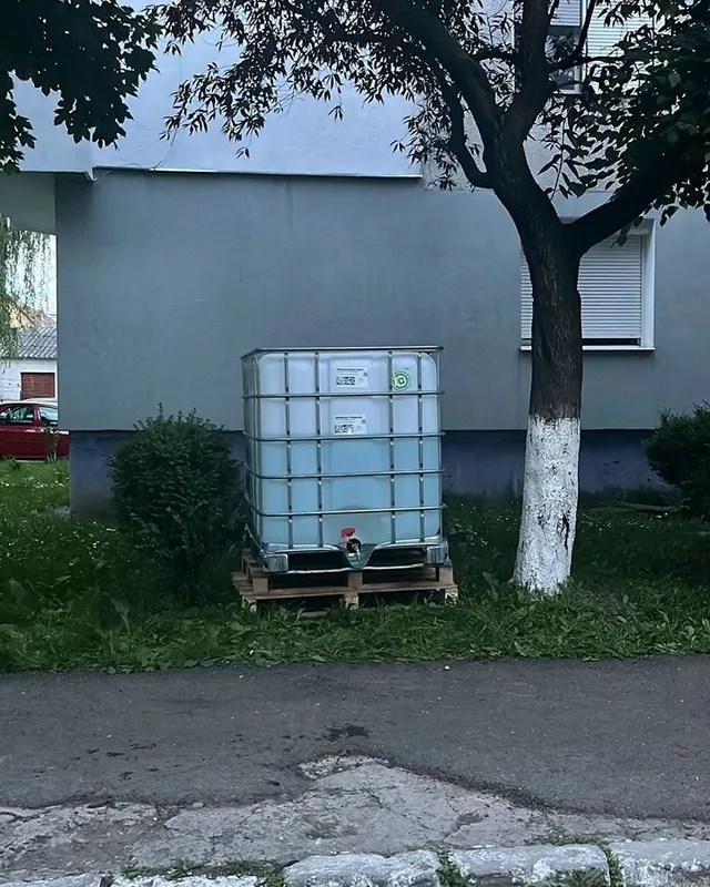 Egy fehérre meszelt fa törzsű mellett, épület falánál egy fémvázas műanyag víztartály (IBC konténer) áll fapaletten, körülötte fű és bokor, előtte aszfaltozott járda.