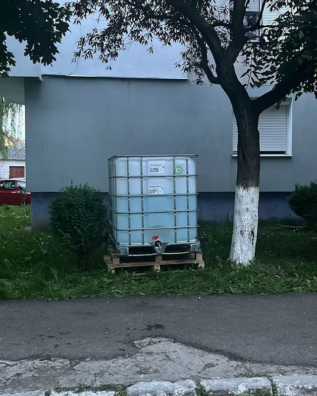 Egy fehérre meszelt fa törzsű mellett, épület falánál egy fémvázas műanyag víztartály (IBC konténer) áll fapaletten, körülötte fű és bokor, előtte aszfaltozott járda.