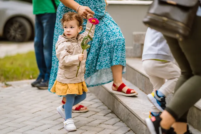 KÉP — alt szöveg pótlandó (AI-javaslat + szerkesztői jóváhagyás)