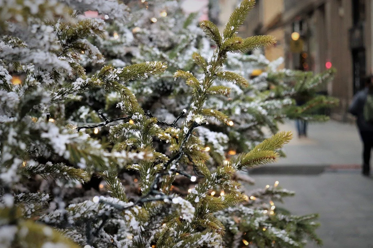 Hóval borított, fényfüzérrel díszített fenyőágak közeli képe, háttérben elmosódott utcakép látszik járókelőkkel egy városi sétálóutcán.