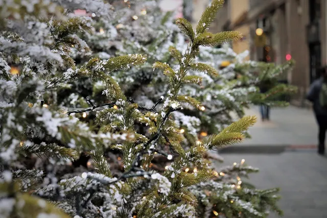 Hóval borított, fényfüzérrel díszített fenyőágak közeli képe, háttérben elmosódott utcakép látszik járókelőkkel egy városi sétálóutcán.