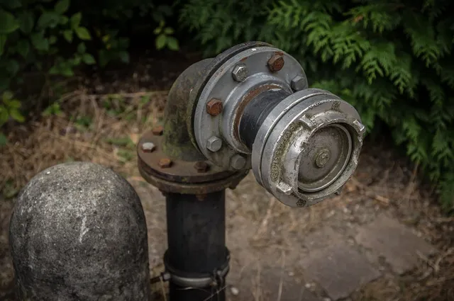 Közelkép egy tűzcsapról (hidránsról), rozsdás csavarokkal és fém csatlakozóelemekkel, mellette bokrok és egy másik betoncső vagy oszlop látható.