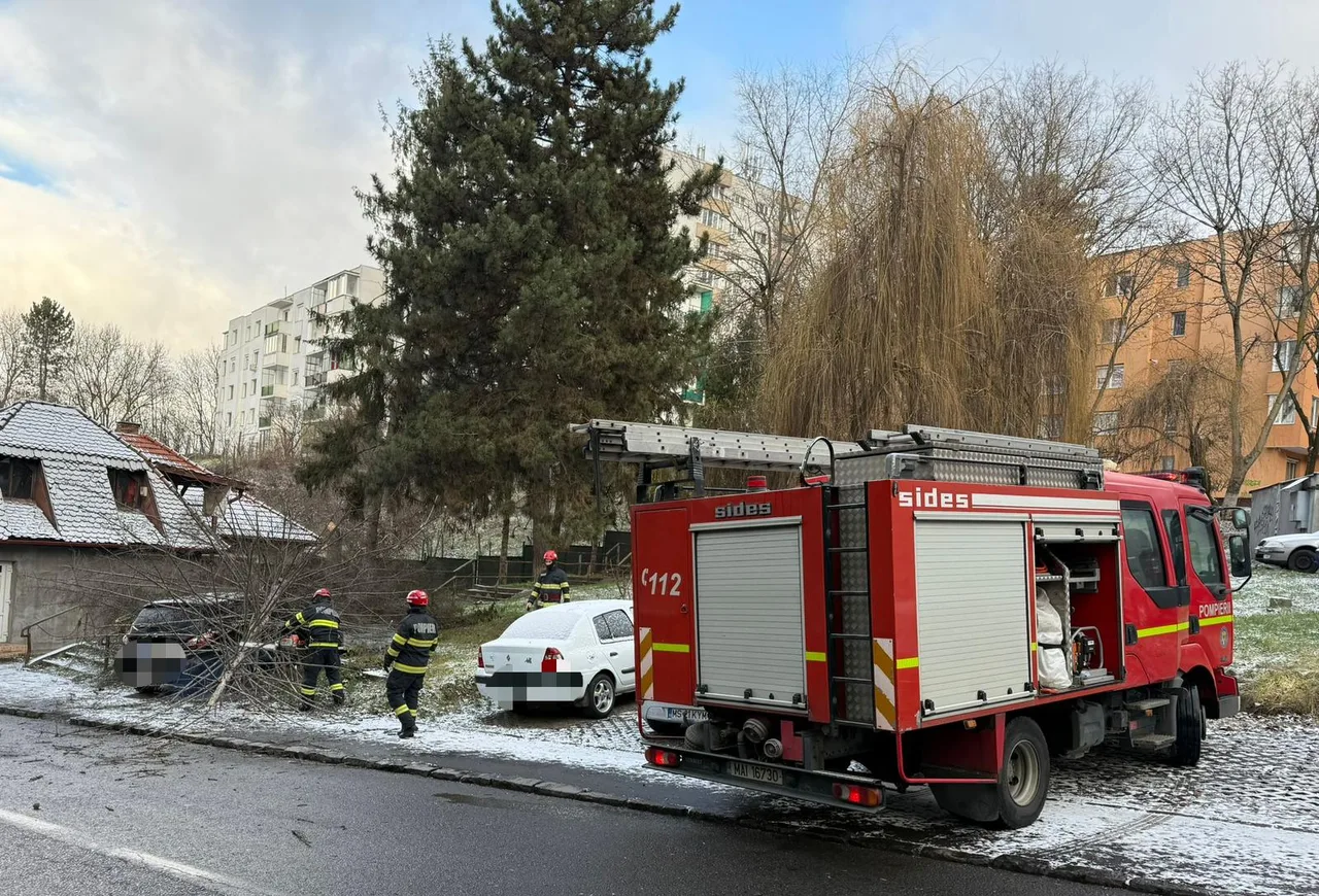 Tűzoltóautó áll egy utcán, mellette tűzoltók dolgoznak egy kidőlt fánál, amely egy parkoló autóra zuhant. Havas, hideg időjárás, háttérben tömbházak.