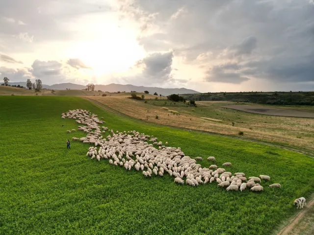 KÉP — alt szöveg pótlandó (AI-javaslat + szerkesztői jóváhagyás)