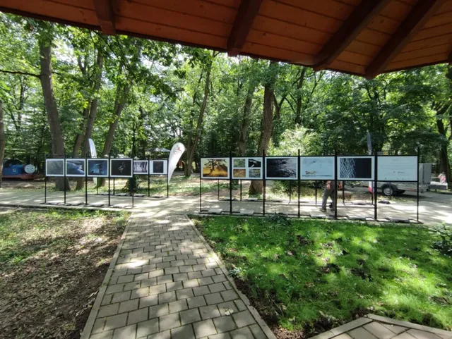 Szabadtéri fotókiállítás fás, parkos környezetben, egy fedett fa tetőszerkezet alatt és mellett; több sorban álló fekete keretes kiállítási táblákon fotók láthatók, a háttérben zöld lombkorona és egy sétáló ember.