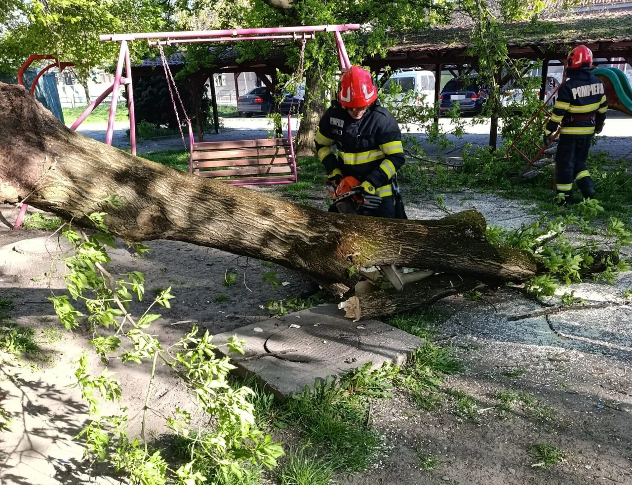 Egy játszótéren kidöntött, nagy törzsű fa fekszik keresztben, amelyet piros sisakos tűzoltó láncfűrésszel darabol fel, míg egy másik tűzoltó a háttérben a törött ágakat, játszóeszközöket vizsgálja.
