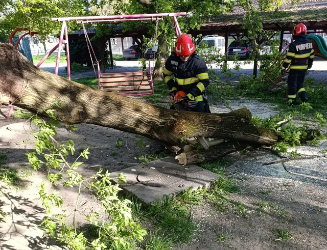 Egy játszótéren kidöntött, nagy törzsű fa fekszik keresztben, amelyet piros sisakos tűzoltó láncfűrésszel darabol fel, míg egy másik tűzoltó a háttérben a törött ágakat, játszóeszközöket vizsgálja.