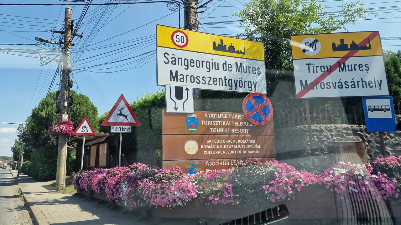 Marosvásárhely és Marosszentgyörgy határán lévő közúti táblák, köztük Sângeorgiu de Mureș (Marosszentgyörgy) helységnévtábla és Tîrgu Mureș (Marosvásárhely) lakott terület vége tábla, mellettük forgalmi jelzőtáblák, buszmegálló jelzés és virágokkal díszített útszakasz.