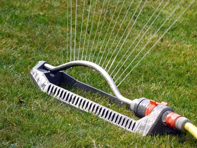 Fém locsolószórófej fekszik a fűben, sárga kerti tömlőhöz csatlakoztatva, miközben vékony vízsugarak legyezőszerűen szórják a vizet a pázsitra.