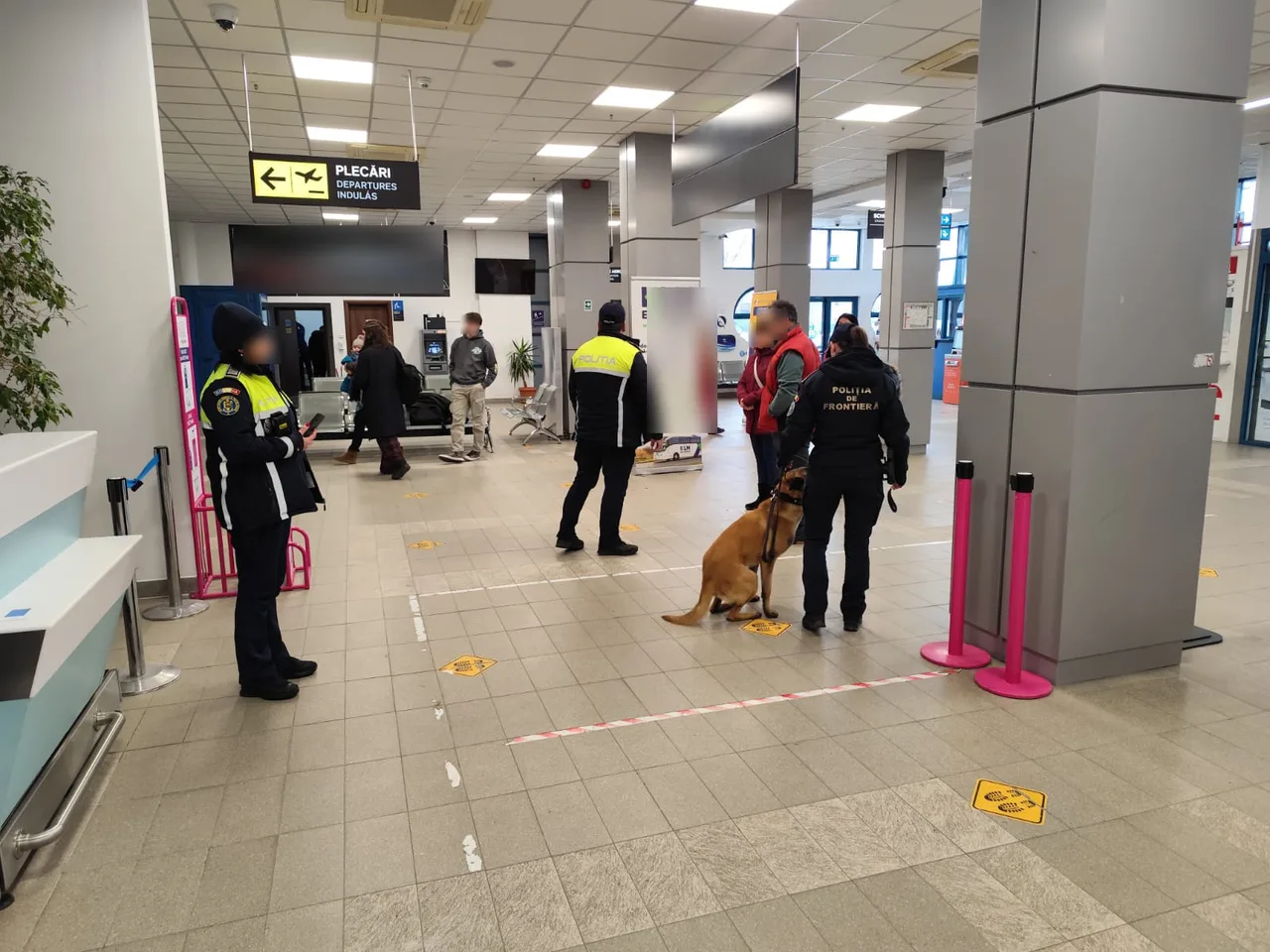 Repülőtéri váróteremben határrendőrök és egy szolgálati kutya ellenőrzést végeznek az utasok között, a Plecări/Departures tábla alatt.