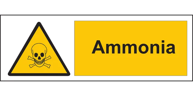 Sárga mérgező anyagra figyelmeztető tábla, koponya és lábszárcsontok szimbólummal, mellette „Ammonia” felirat.
