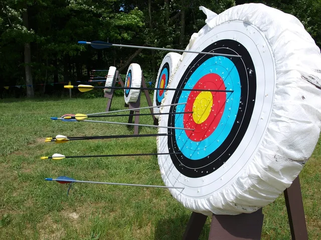 Íjászcélpont közelről, körkörös, színes (sárga, piros, kék, fekete, fehér) mezőkkel, tele beleálló nyílvesszőkkel; háttérben további célok állványokon, fás terület előtt.