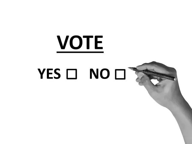 Illusztrációs, fekete-fehér kép: egy kéz tollat tart, előtte a „VOTE” felirat, alatta „YES” és „NO” szöveg mellett üres jelölőnégyzetek.
