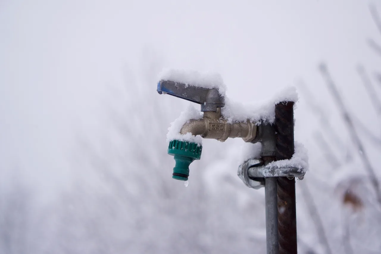 Fémcsapra rögzített kültéri vízcsap zöld locsolócsatlakozóval, amelyet hó és jégcsapok borítanak, a háttérben havas ágak láthatók.